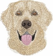 LABRADOR RETRIEVER wizualizacja haftu