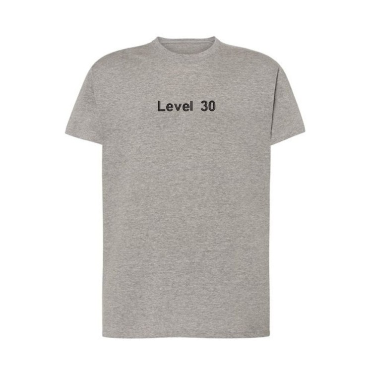 koszulka szara z haftem-Level 30 przód